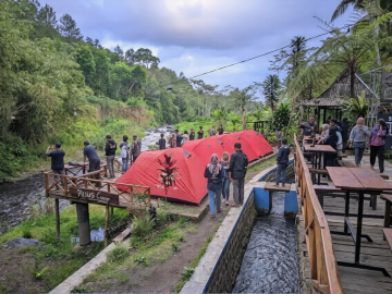 Pinus Camp 2