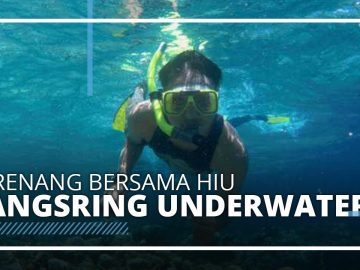 Wisata Pantai Bangsring : Pesona Bawah Laut Banyuwangi Wisata Pantai Bangsring Wongsorejo Banyuwangi