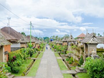 Desa Wisata Kemiren Banyuwangi: Budaya, Sejarah & Update Terbaru